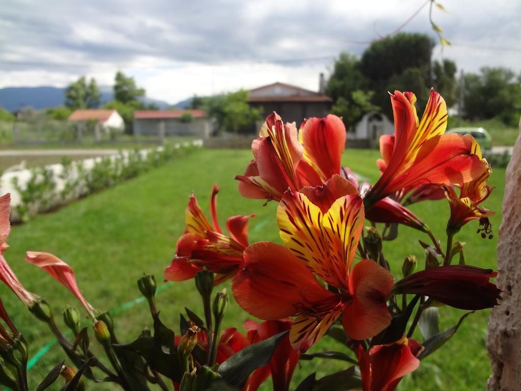 Nostos Apartments Néa Meságkala Exteriér fotografie